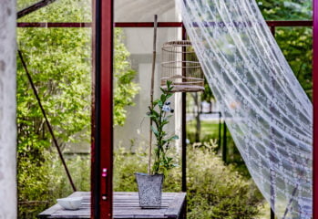 En gardin fladdrar i vinden framför en blomkruka i ett växthus