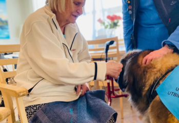 En äldre person klappar en terapihund