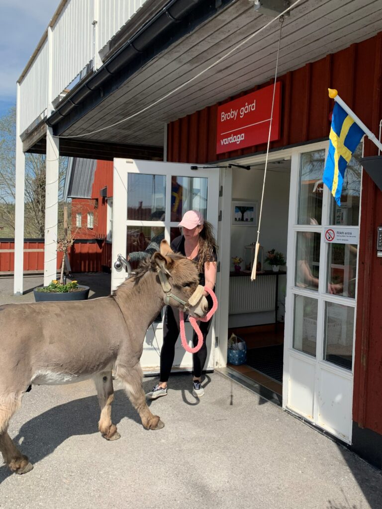 Jenny och hennes åsna Pingo besöker de boende på Vardagas äldreboende Broby Gård