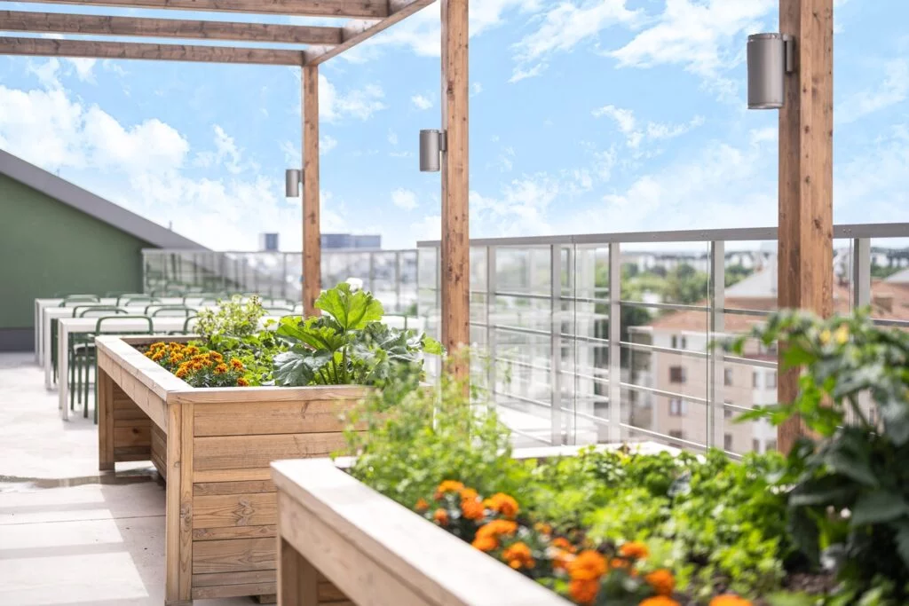 Odlingar på takterrassen på Villa Djäknegatan