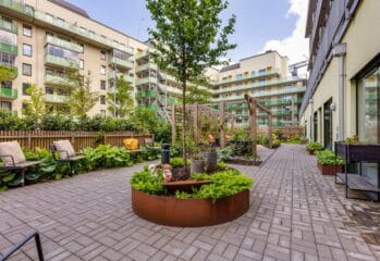 Bakgård med uteplats och träd i mitten