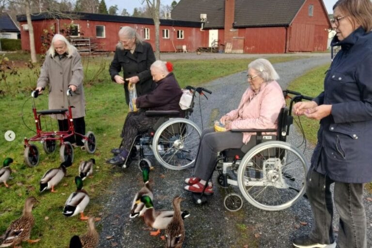 Fyra boende, två med rullator och två i rullstol, matar änder vid en grusväg utomhus. I bakgrunden syns röda trähus.